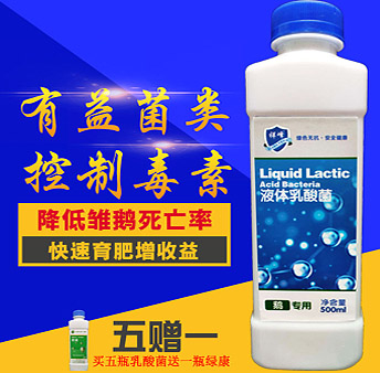 液體乳酸菌（鵝專用）