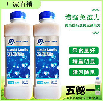 養殖液體乳酸菌(牛羊專用)